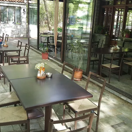 酒店 哈尼泽美诺酒店 3*