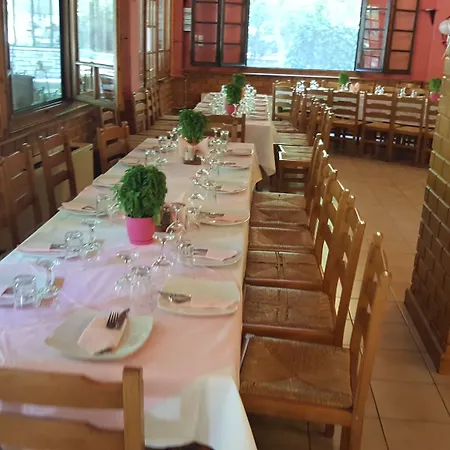 酒店 哈尼泽美诺酒店 3*