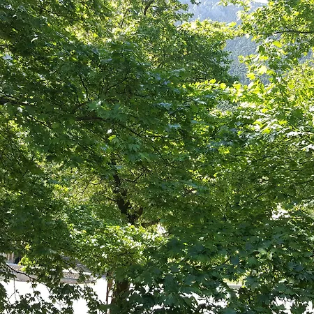 酒店 哈尼泽美诺酒店 阿拉霍瓦