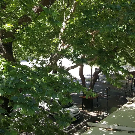 酒店 哈尼泽美诺酒店 3*