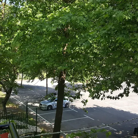 哈尼泽美诺酒店 3* 阿拉霍瓦