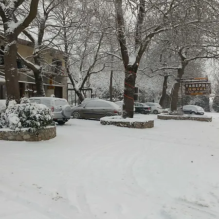 哈尼泽美诺酒店 阿拉霍瓦