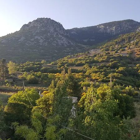 Hotel Hani Zemenou 3*