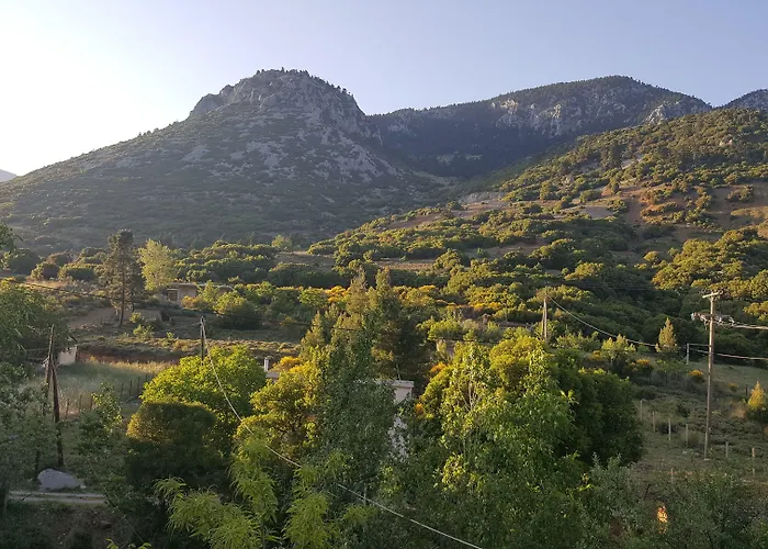 Hotel Hani Zemenou 3*